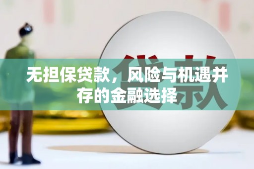 吉水无担保贷款，风险与机遇并存的金融选择