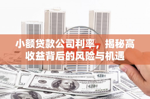 吉水小额贷款公司利率，揭秘高收益背后的风险与机遇