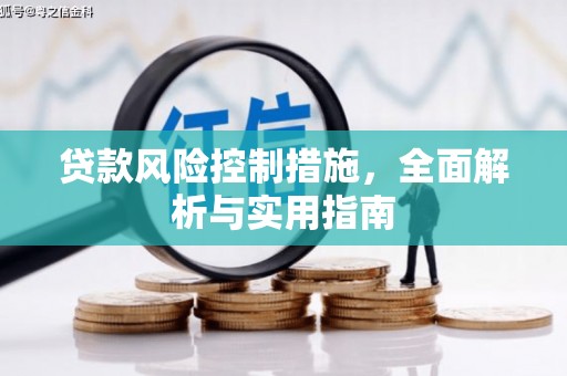 吉水贷款风险控制措施，全面解析与实用指南