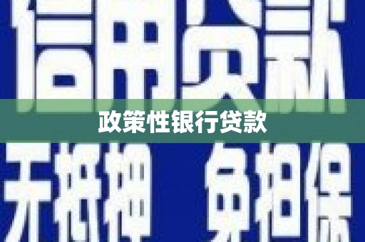 吉水政策性银行贷款