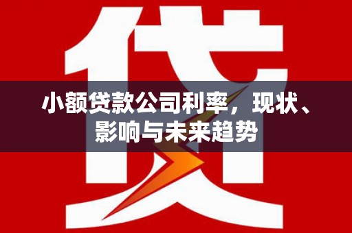 吉水小额贷款公司利率，现状、影响与未来趋势