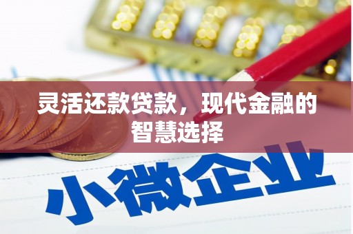 吉水灵活还款贷款，现代金融的智慧选择