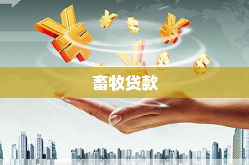 吉水畜牧贷款
