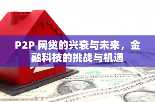 吉水P2P 网贷的兴衰与未来，金融科技的挑战与机遇
