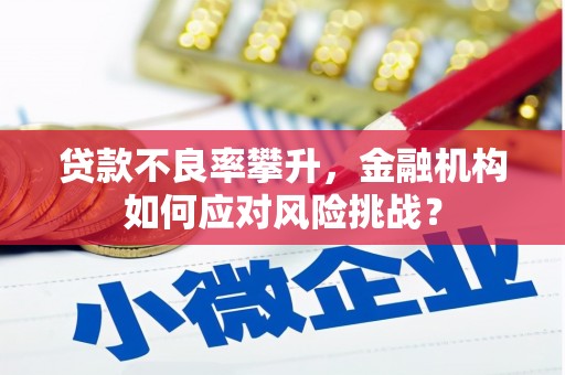 吉水贷款不良率攀升，金融机构如何应对风险挑战？