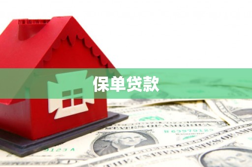吉水保单贷款