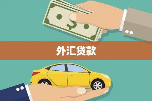 吉水外汇贷款
