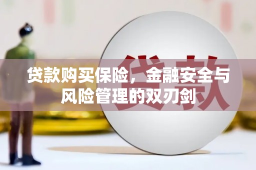吉水贷款购买保险，金融安全与风险管理的双刃剑