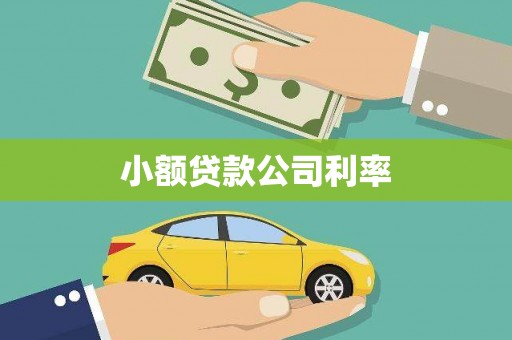 吉水小额贷款公司利率