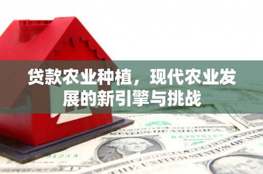 吉水贷款农业种植，现代农业发展的新引擎与挑战