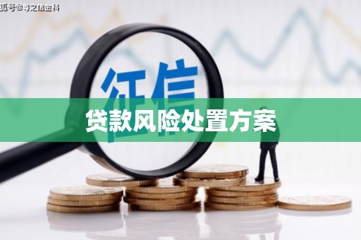 吉水贷款风险处置方案