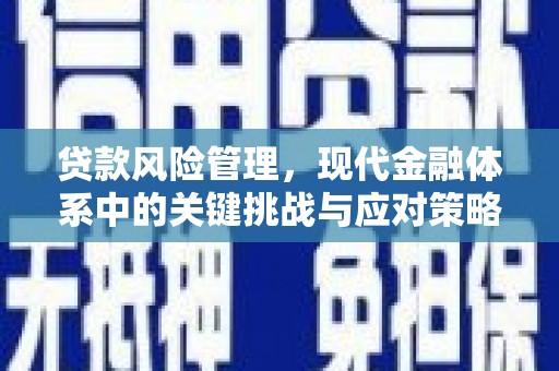 吉水贷款风险管理，现代金融体系中的关键挑战与应对策略