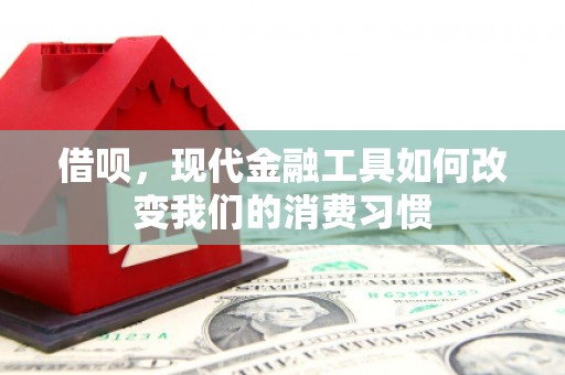 吉水借呗，现代金融工具如何改变我们的消费习惯