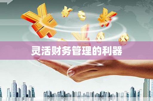 吉水灵活财务管理的利器
