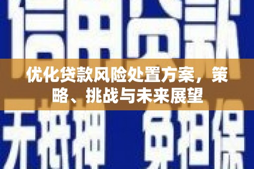 吉水优化贷款风险处置方案，策略、挑战与未来展望