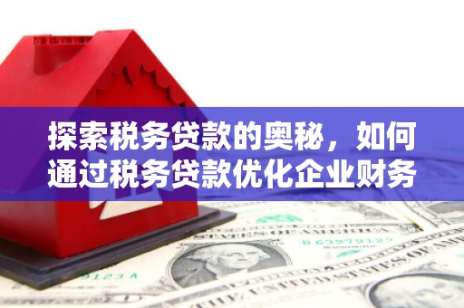 吉水探索税务贷款的奥秘，如何通过税务贷款优化企业财务