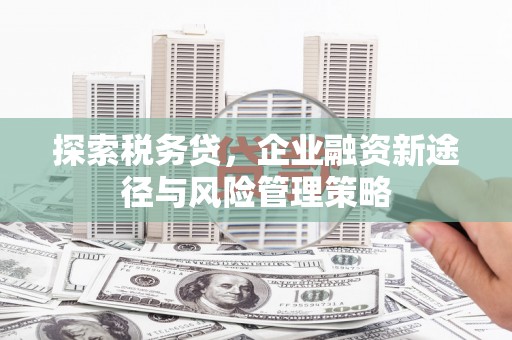 吉水探索税务贷，企业融资新途径与风险管理策略