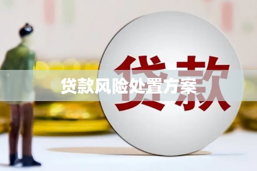 吉水贷款风险处置方案