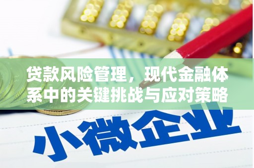 吉水贷款风险管理，现代金融体系中的关键挑战与应对策略