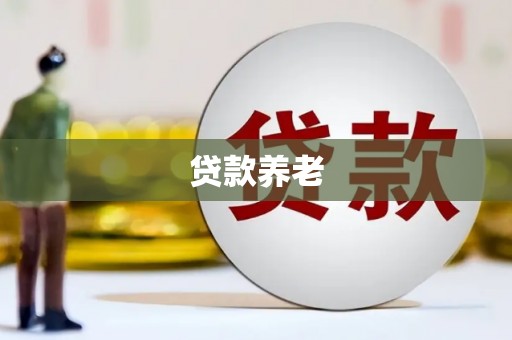 吉水贷款养老
