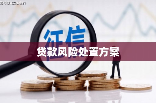 吉水贷款风险处置方案
