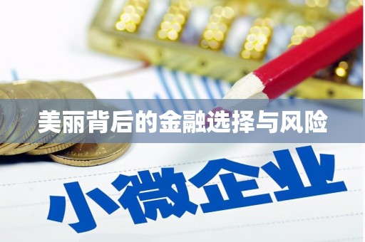 吉水美丽背后的金融选择与风险
