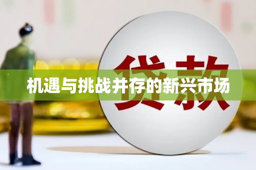 吉水机遇与挑战并存的新兴市场