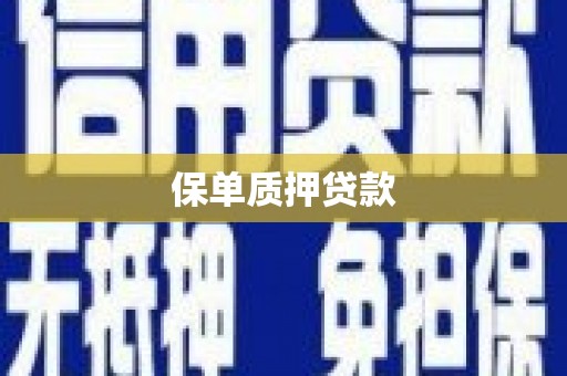 吉水保单质押贷款