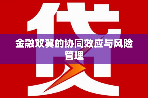 吉水金融双翼的协同效应与风险管理