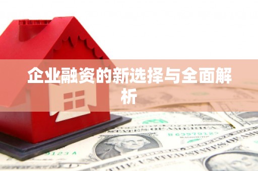 吉水企业融资的新选择与全面解析